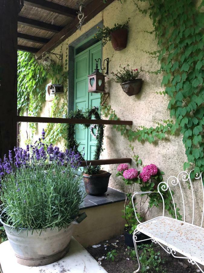 La Casa Del Cuore Stazzema Eksteriør billede